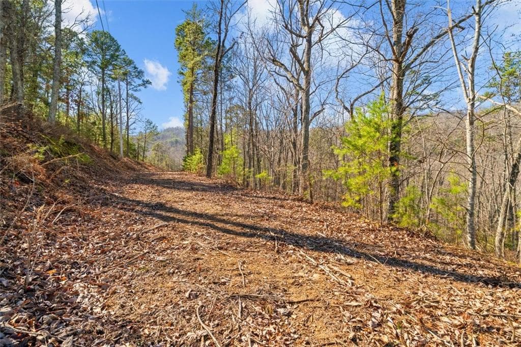 unimproved land for sale at 571 Deerfield Lane, Sugar Valley, GA 30746 — photo 3