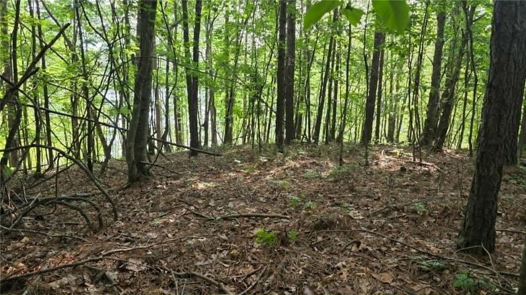 unimproved land for sale at 00 Lucas Lane, Dallas, GA 30132 — photo 5
