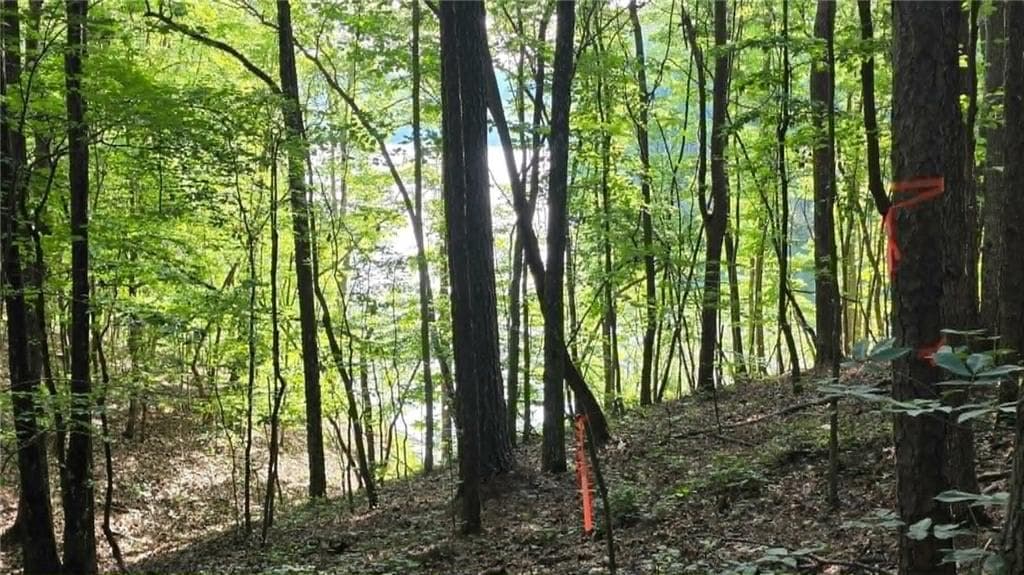 unimproved land for sale at 00 Lucas Lane, Dallas, GA 30132 — photo 4