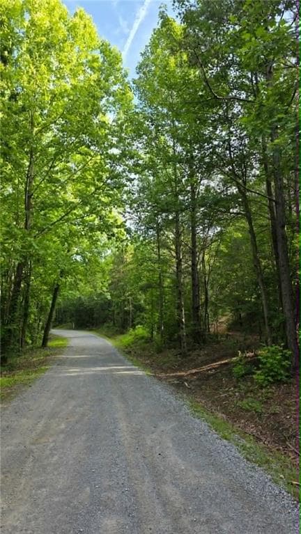 unimproved land for sale at 00 Lucas Lane, Dallas, GA 30132 — photo 2
