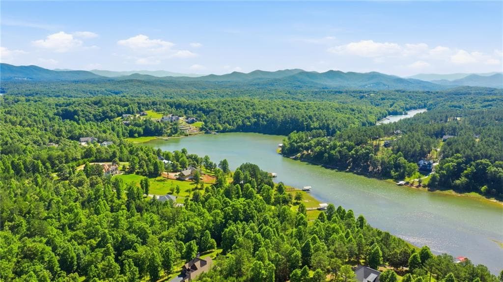5 bedroom, 4 bathroom, 3,890 sq ft single family residence for sale at 511 Sandy Lake Lane, Blairsville, GA 30512 — photo 5