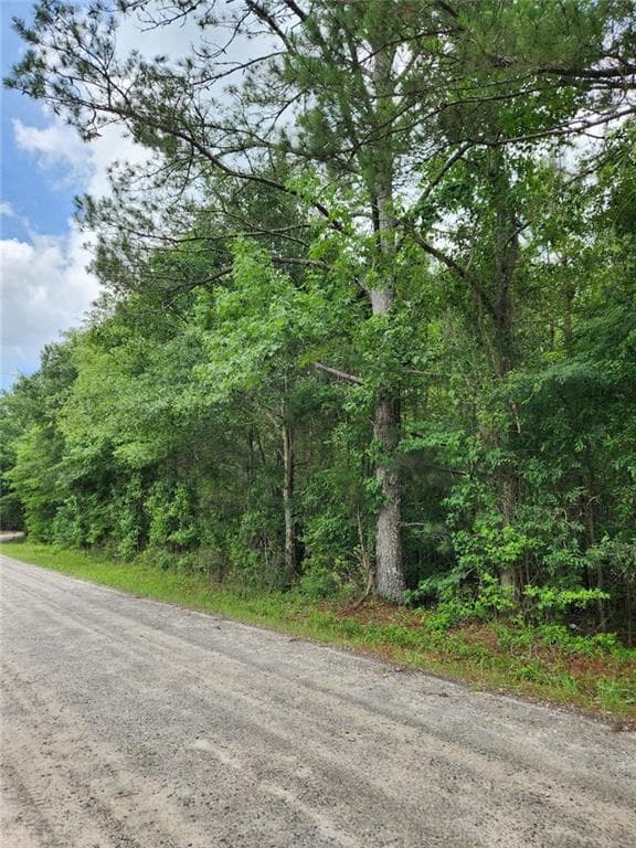 single family residence for sale at 0 Barton Bridge Road, Monroe, GA 30655 — photo 5