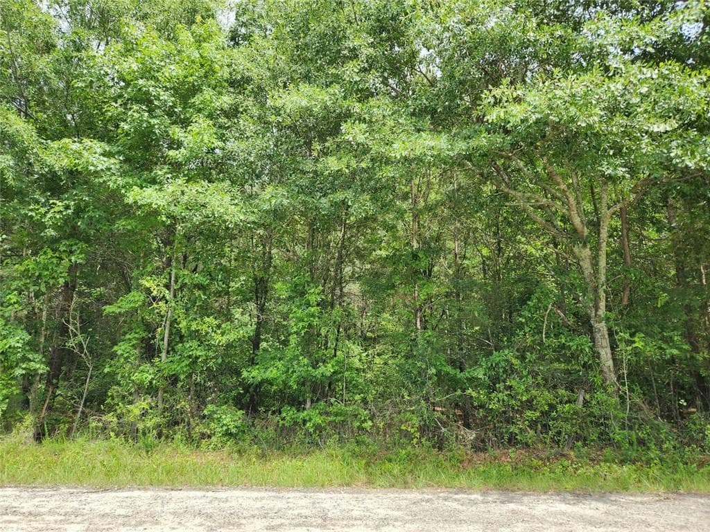 single family residence for sale at 0 Barton Bridge Road, Monroe, GA 30655 — photo 6