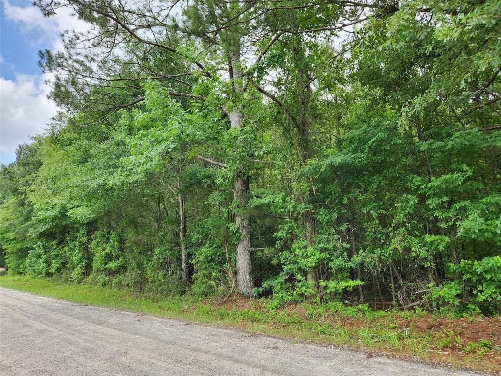 single family residence for sale at 0 Barton Bridge Road, Monroe, GA 30655 — photo 7