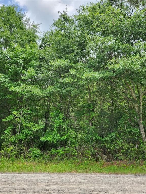 single family residence for sale at 0 Barton Bridge Road, Monroe, GA 30655 — photo 8
