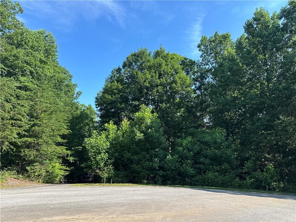 single family residence for sale at 5 Lots Clearview Drive, Cleveland, GA 30528 — photo 2