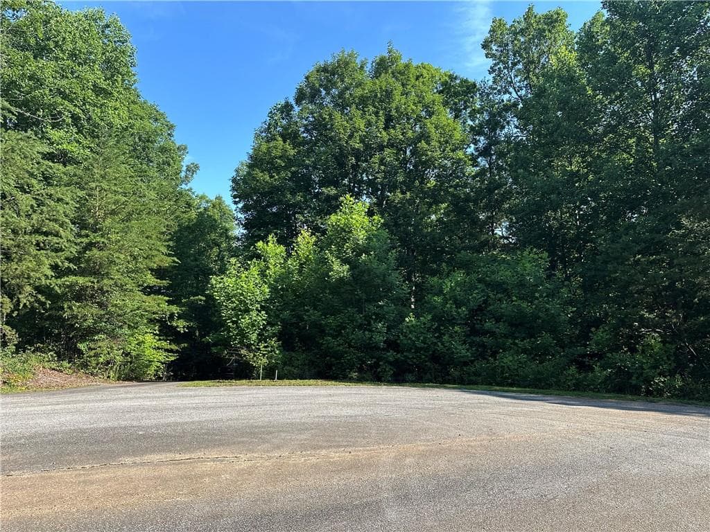 single family residence for sale at 5 Lots Clearview Drive, Cleveland, GA 30528 — photo 3
