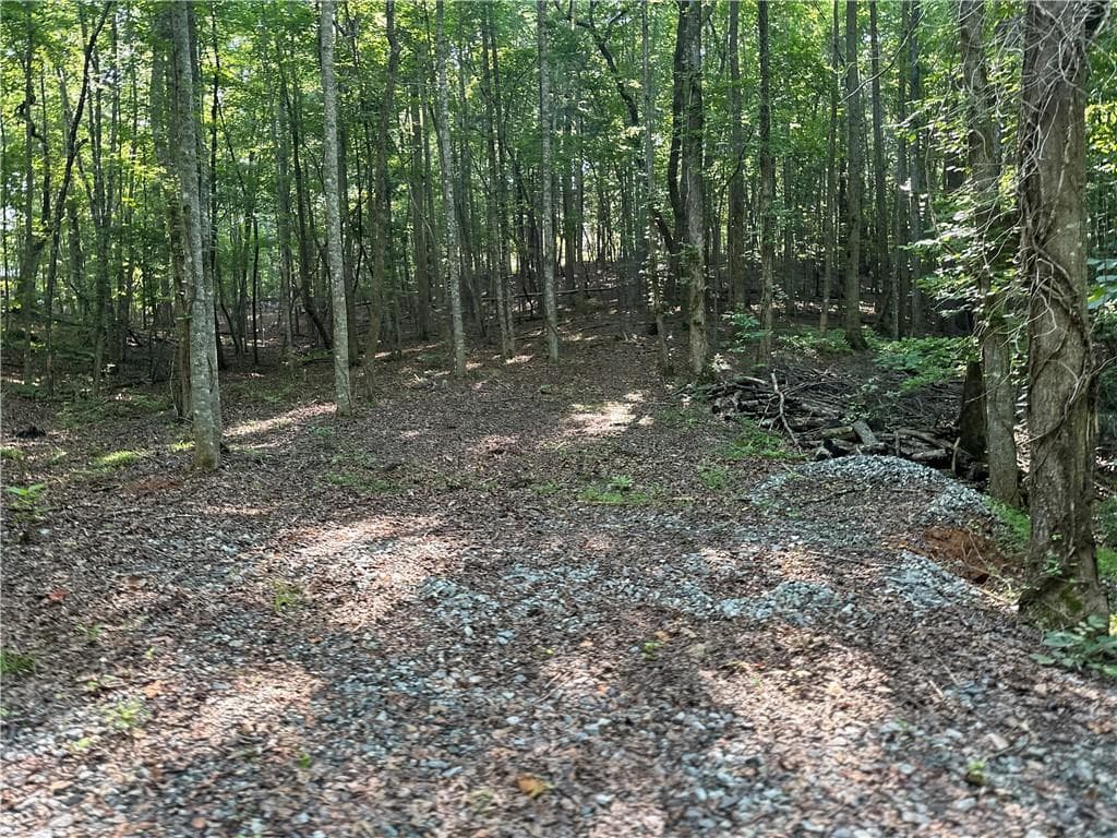 single family residence for sale at 5 Lots Clearview Drive, Cleveland, GA 30528 — photo 4