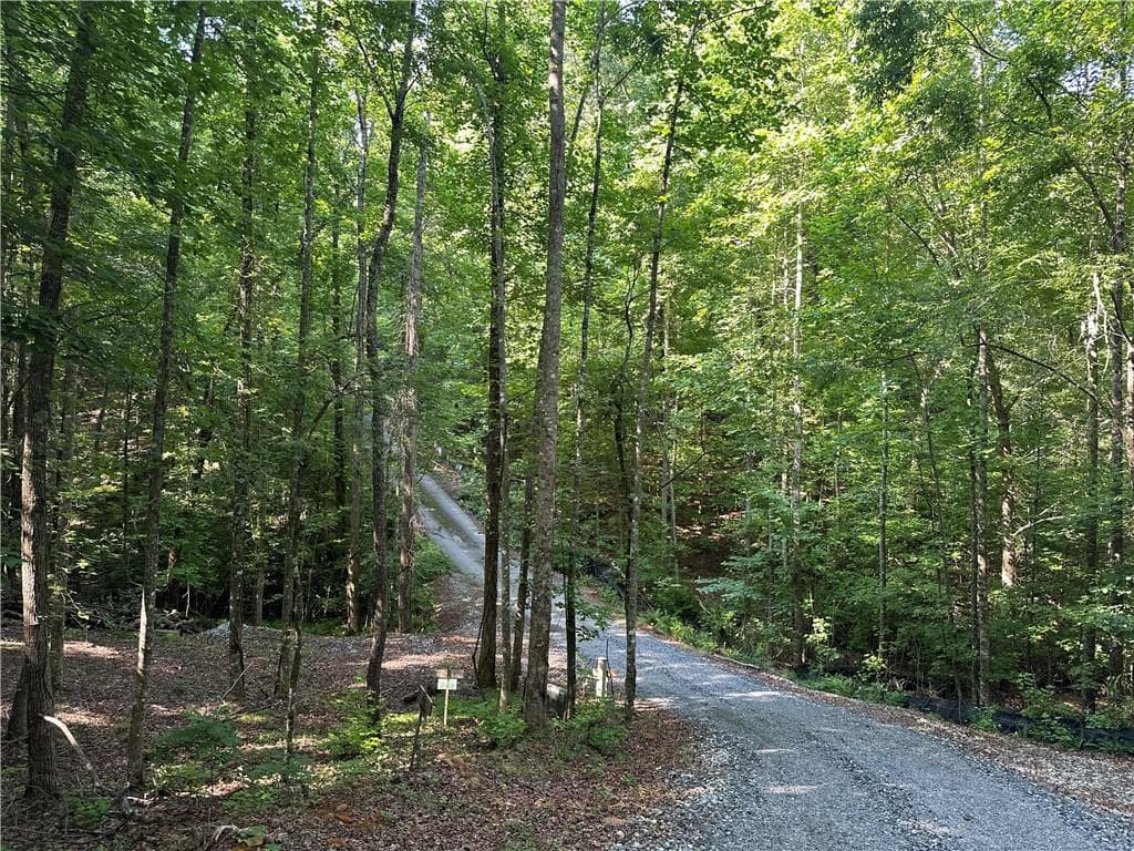single family residence for sale at 5 Lots Clearview Drive, Cleveland, GA 30528 — photo 7