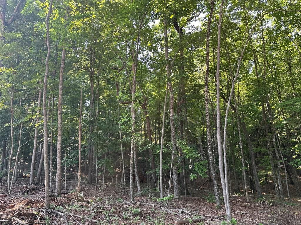 single family residence for sale at 5 Lots Clearview Drive, Cleveland, GA 30528 — photo 8