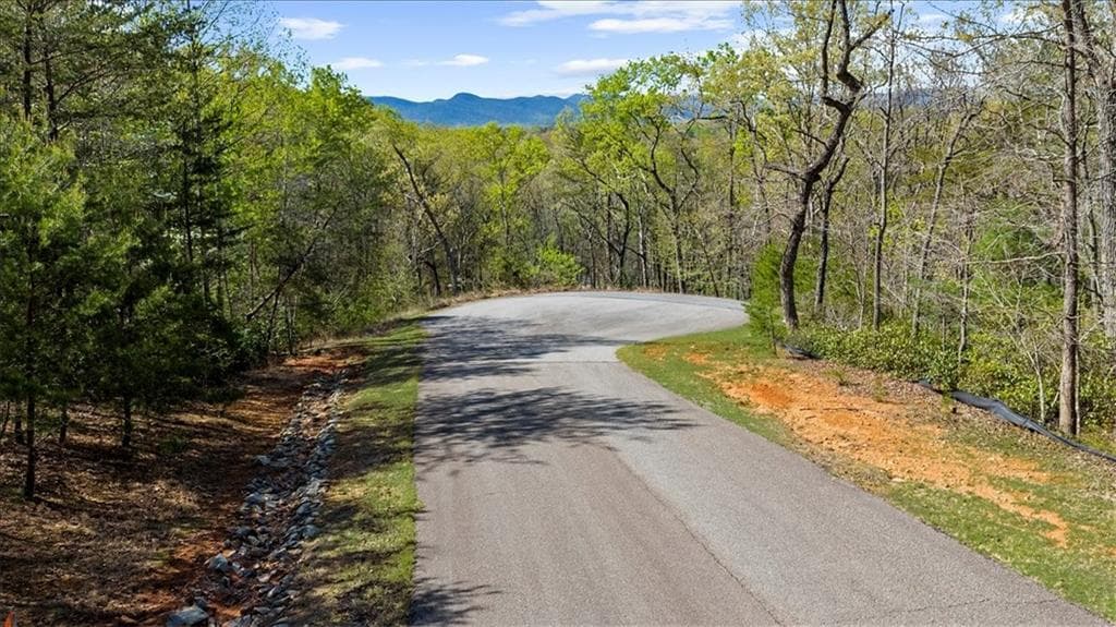 single family residence for sale at 0 Waterside Trail, Cleveland, GA 30528 — photo 7