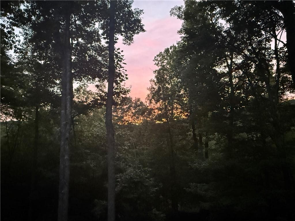 3 bedroom, 2 bathroom, 1,835 sq ft single family residence for sale at 35 Blue Mountain Road, Morganton, GA 30560 — photo 8