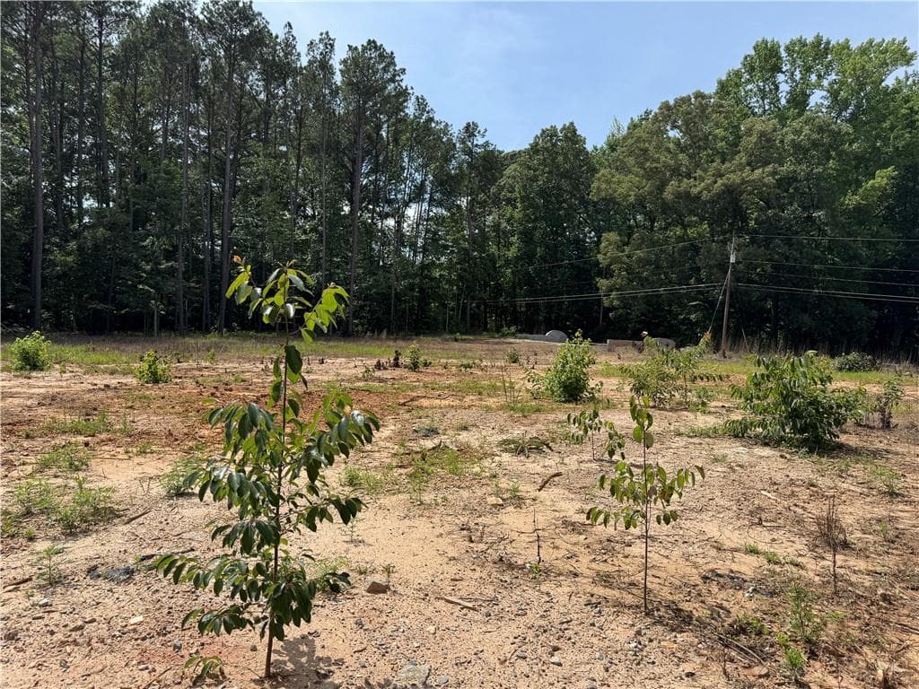 unimproved land for sale at 0 Kenwood Road, Fayetteville, GA 30214 — photo 5