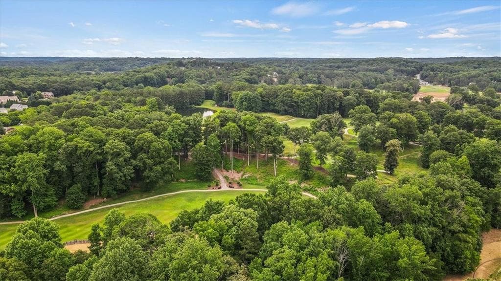 6 bedroom, 8 bathroom, 10,380 sq ft single family residence for sale at 25 The Greenway, Woodstock, GA 30188 — photo 10