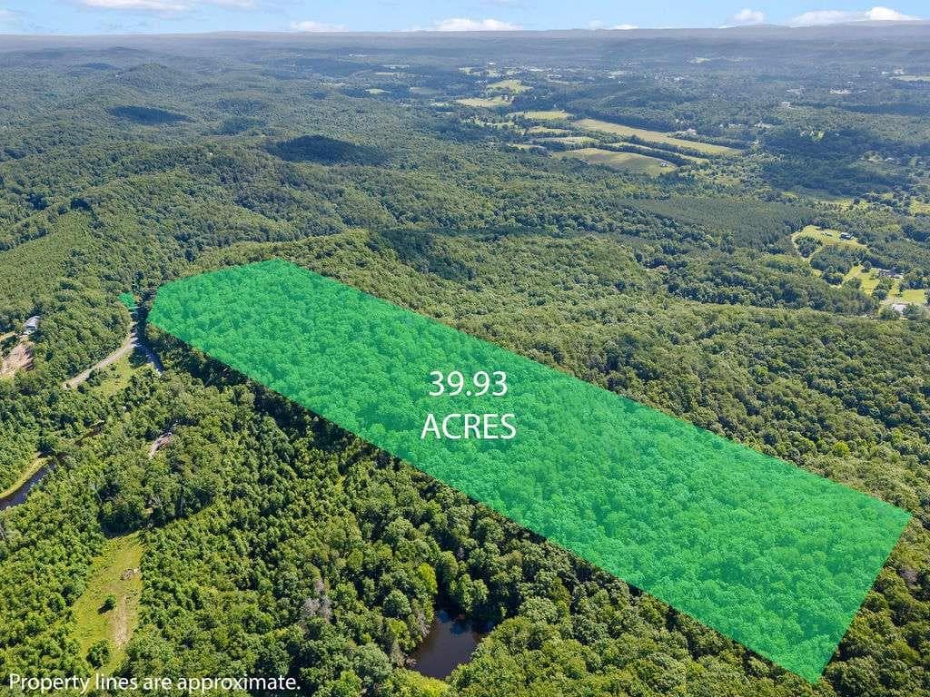 unimproved land for sale at 0 Shinbone Ridge Road, La Fayette, GA 30728 — photo 2