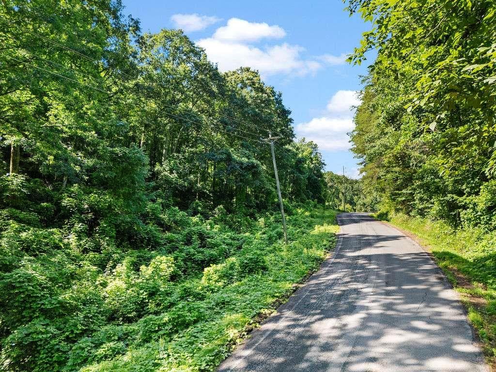 unimproved land for sale at 0 Shinbone Ridge Road, La Fayette, GA 30728 — photo 4