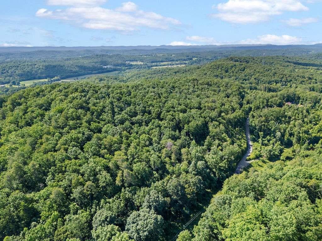 unimproved land for sale at 0 Shinbone Ridge Road, La Fayette, GA 30728 — photo 5