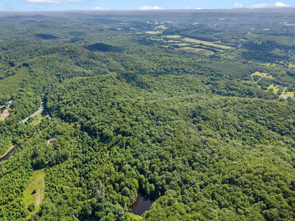 unimproved land for sale at 0 Shinbone Ridge Road, La Fayette, GA 30728 — photo 8