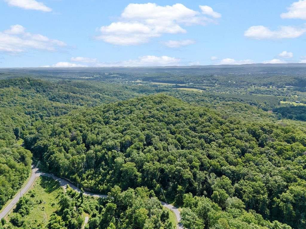 unimproved land for sale at 0 Shinbone Ridge Road, La Fayette, GA 30728 — photo 9