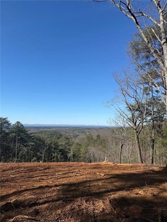 other for sale at 710 Railey Ridge, Ranger, GA 30734