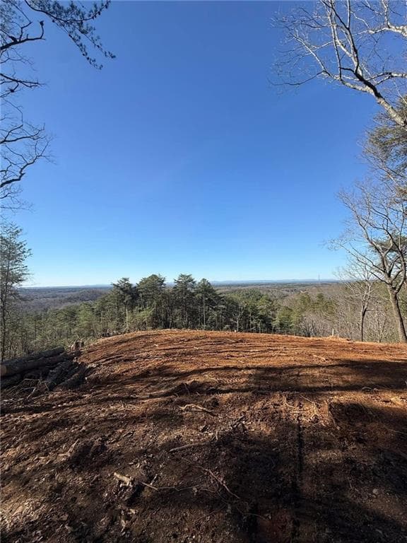 other for sale at 710 Railey Ridge, Ranger, GA 30734 — photo 5