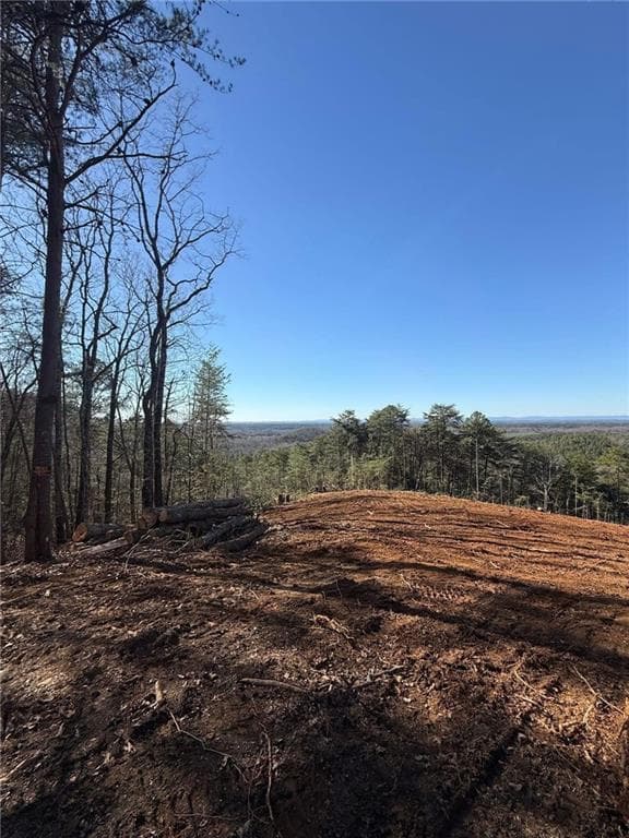 other for sale at 710 Railey Ridge, Ranger, GA 30734 — photo 6