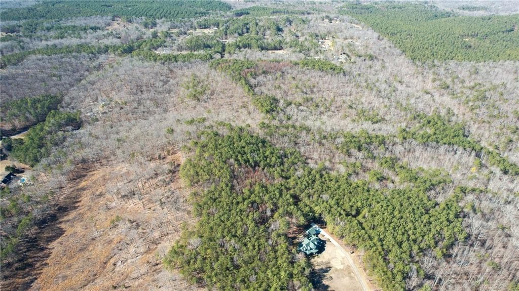unimproved land for sale at 0001 Bozeman Road, White, GA 30184 — photo 5