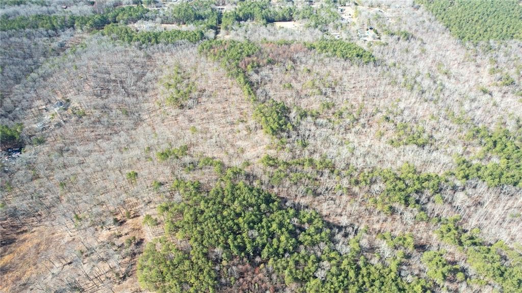 unimproved land for sale at 0001 Bozeman Road, White, GA 30184 — photo 6