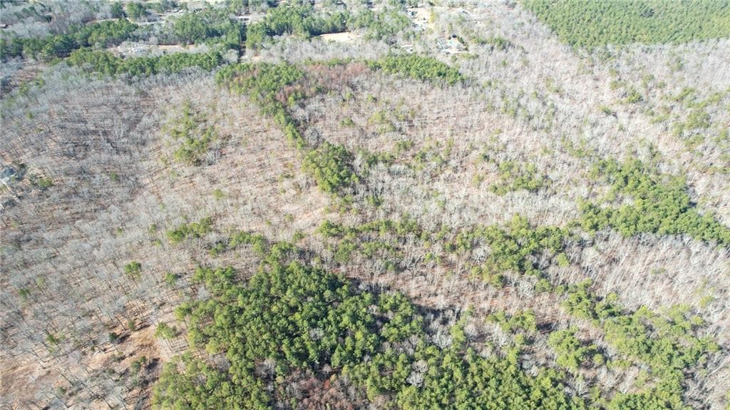 unimproved land for sale at 0001 Bozeman Road, White, GA 30184 — photo 7