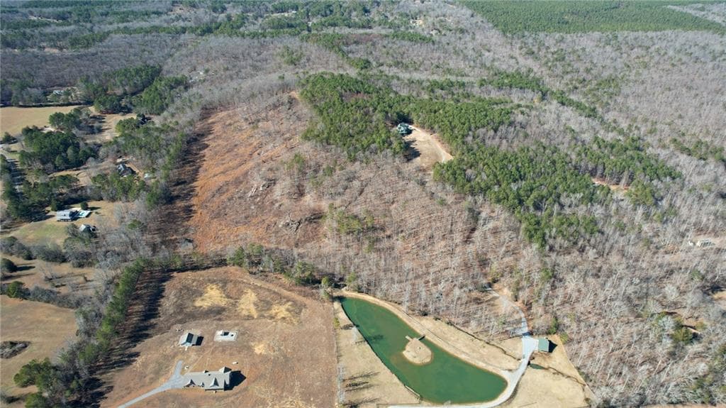 unimproved land for sale at 0001 Bozeman Road, White, GA 30184 — photo 9