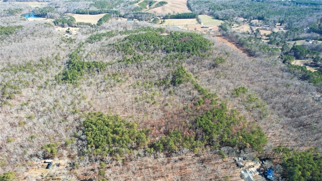 unimproved land for sale at 0001 Bozeman Road, White, GA 30184 — photo 10