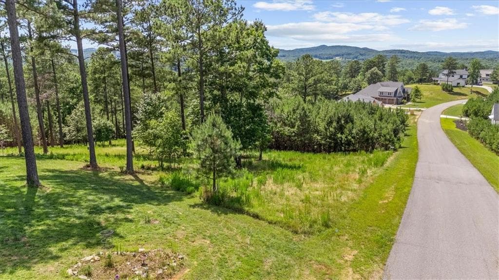 single family residence for sale at LT 276 The Cove @ 1300, Blairsville, GA 30512 — photo 4