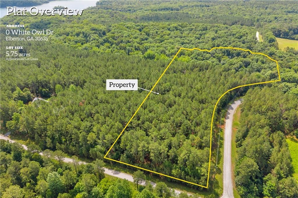 unimproved land for sale at 0 WHITE OWL Drive, Elberton, GA 30635 — photo 2