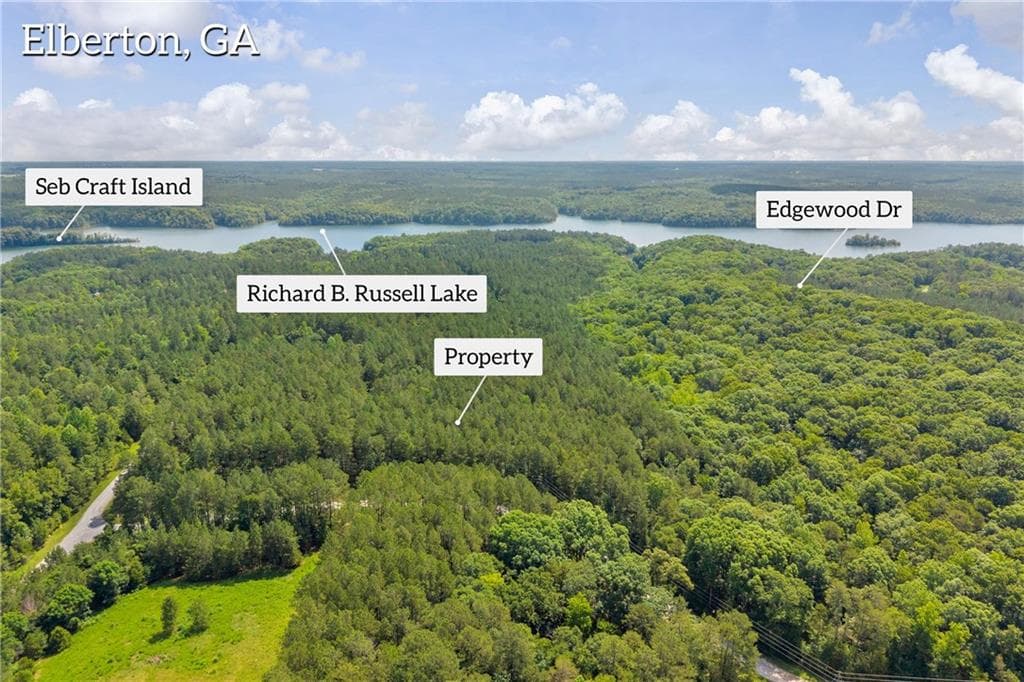 unimproved land for sale at 0 WHITE OWL Drive, Elberton, GA 30635 — photo 3