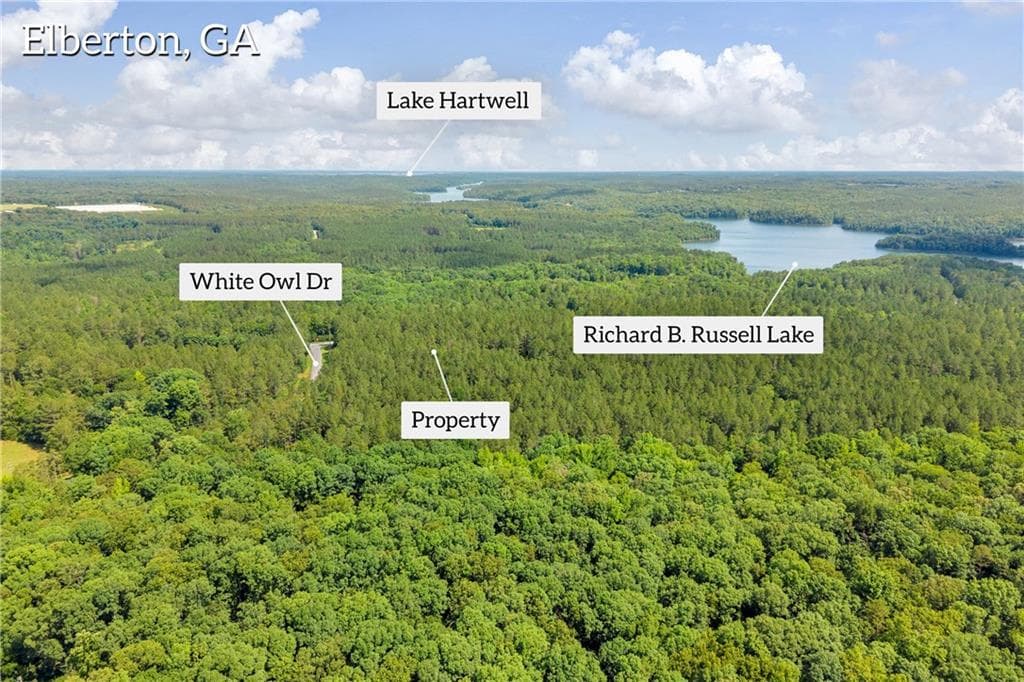 unimproved land for sale at 0 WHITE OWL Drive, Elberton, GA 30635 — photo 4