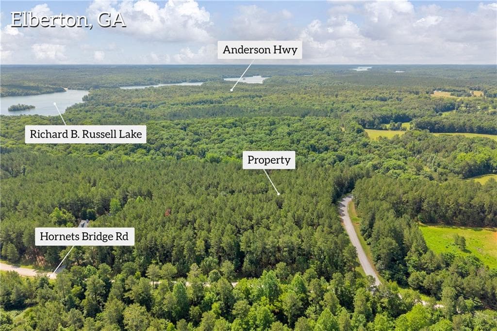 unimproved land for sale at 0 WHITE OWL Drive, Elberton, GA 30635 — photo 5