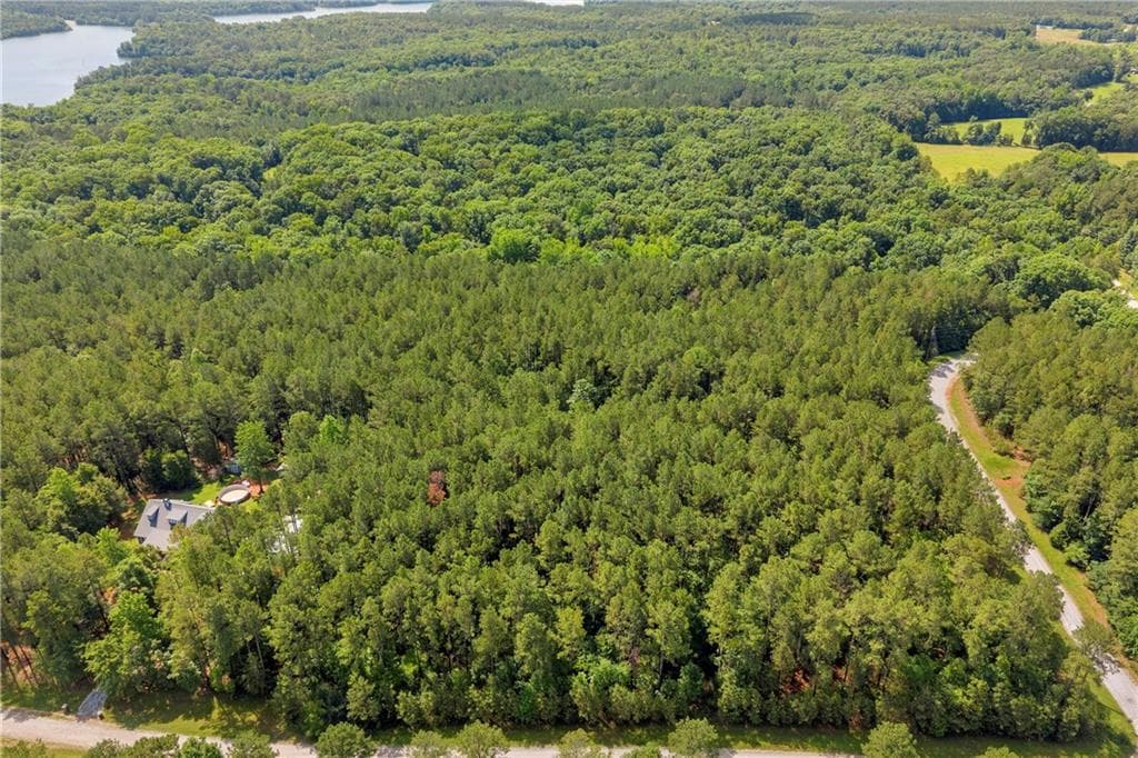 unimproved land for sale at 0 WHITE OWL Drive, Elberton, GA 30635 — photo 7