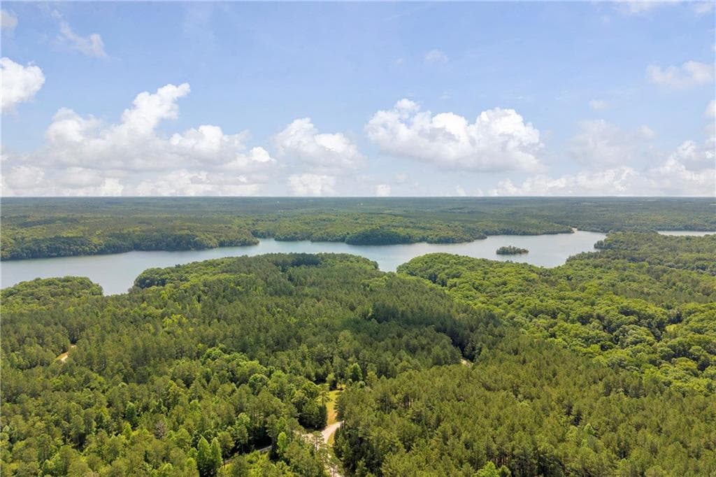 unimproved land for sale at 0 WHITE OWL Drive, Elberton, GA 30635 — photo 8