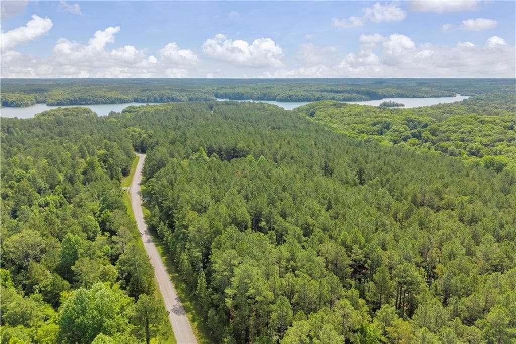 unimproved land for sale at 0 WHITE OWL Drive, Elberton, GA 30635 — photo 9