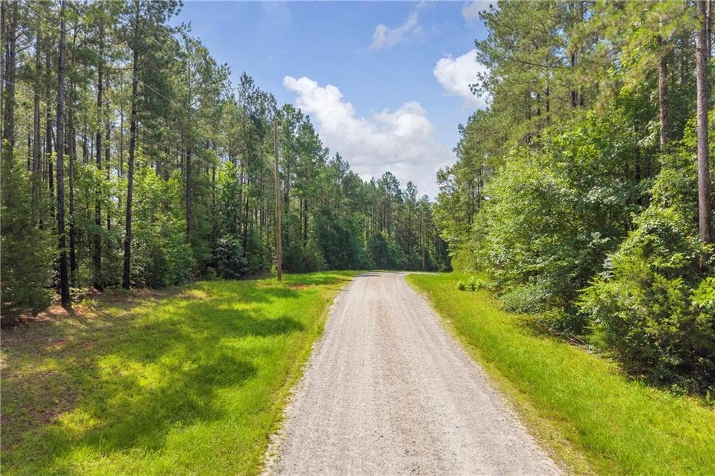 unimproved land for sale at 0 WHITE OWL Drive, Elberton, GA 30635 — photo 10
