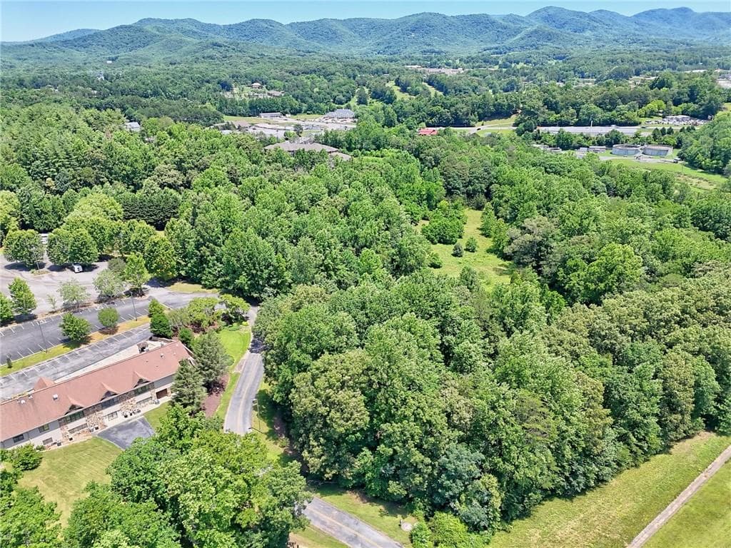 unimproved land for sale at LT 302 Hwy 515, Blairsville, GA 30512 — photo 5