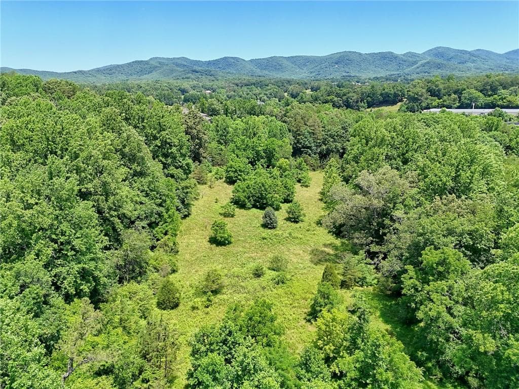 unimproved land for sale at LT 302 Hwy 515, Blairsville, GA 30512 — photo 6