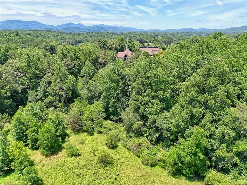 unimproved land for sale at LT 302 Hwy 515, Blairsville, GA 30512 — photo 9