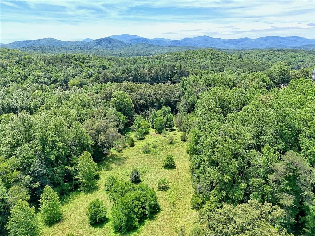 unimproved land for sale at LT 302 Hwy 515, Blairsville, GA 30512 — photo 10