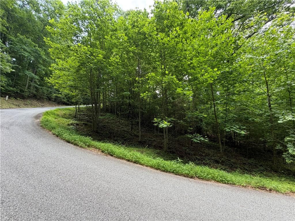 single family residence for sale at Lot 19 Mill Ridge Rd, Hiawassee, GA 30546
