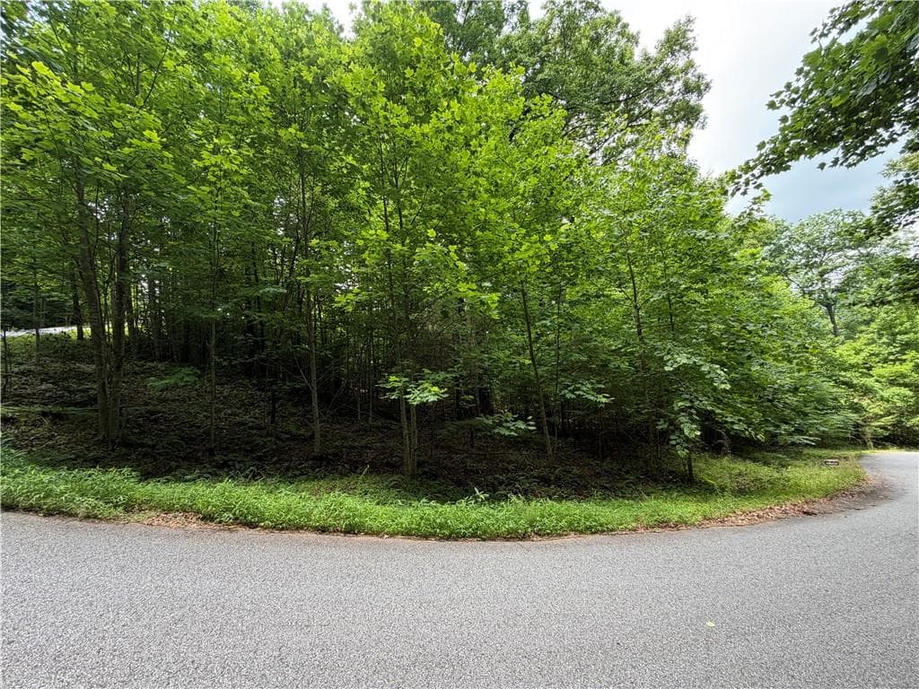 single family residence for sale at Lot 19 Mill Ridge Rd, Hiawassee, GA 30546 — photo 3