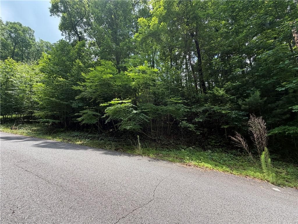 single family residence for sale at Lot 19 Mill Ridge Rd, Hiawassee, GA 30546 — photo 4