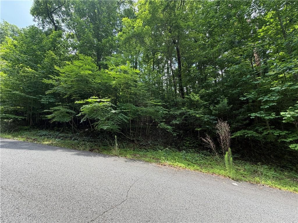 single family residence for sale at Lot 19 Mill Ridge Rd, Hiawassee, GA 30546 — photo 5