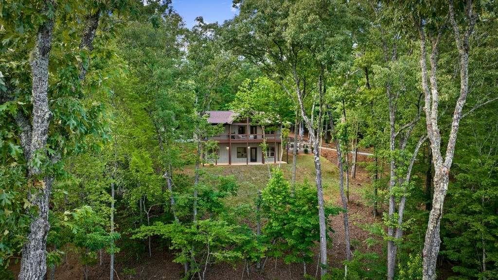 4 bedroom, 3 bathroom, 2,464 sq ft single family residence for sale at 241 Wolf Creek Mountain Road, Mineral Bluff, GA 30559 — photo 9