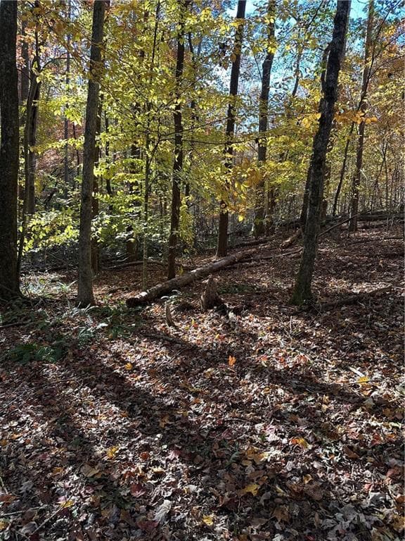unimproved land for sale at 39 Planters Creek Drive, Baldwin, GA 30511 — photo 2